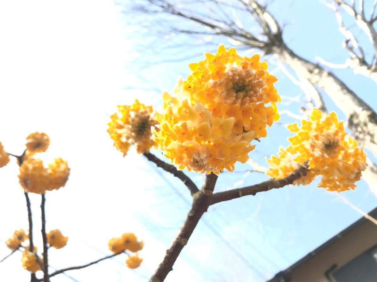 Bed and Breakfast Yufuin Flora House Екстер'єр фото